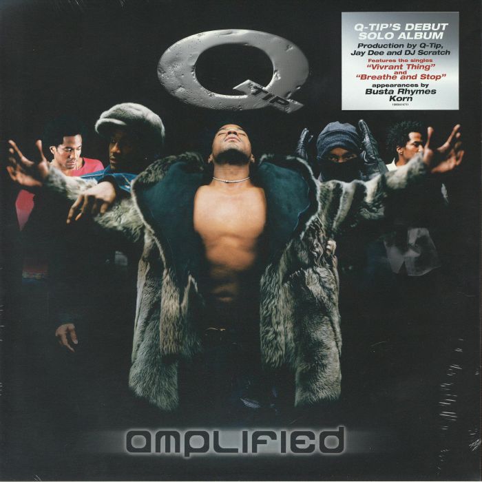 Q-Tip – Amplified LP Vinyl Hip Hop Classic Album