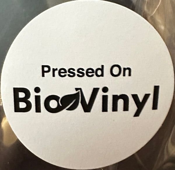 Aphex Twin – Windowlicker 12” Vinyl IDM Electro Breakbeat Classic New