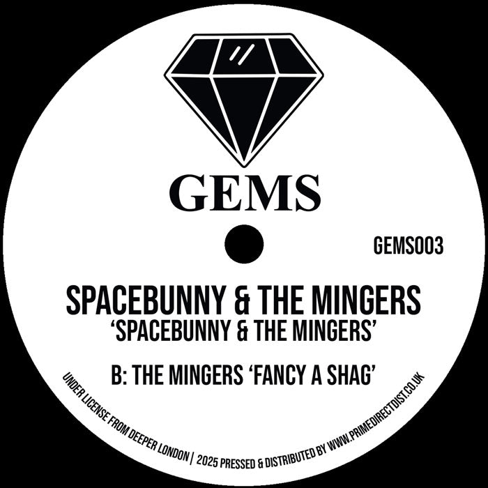 Spacebunny & The Mingers – Spacebunny / Fancy A Shag Acid Tech House 12" Vinyl