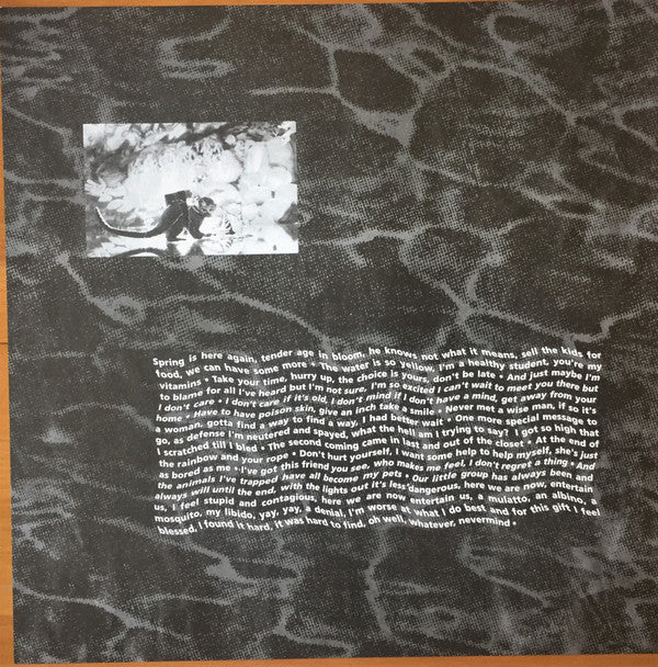 Nirvana – Nevermind (30th Anniversary Edition) Grunge / Rock · Limited Edition Box Set ·Still sealed